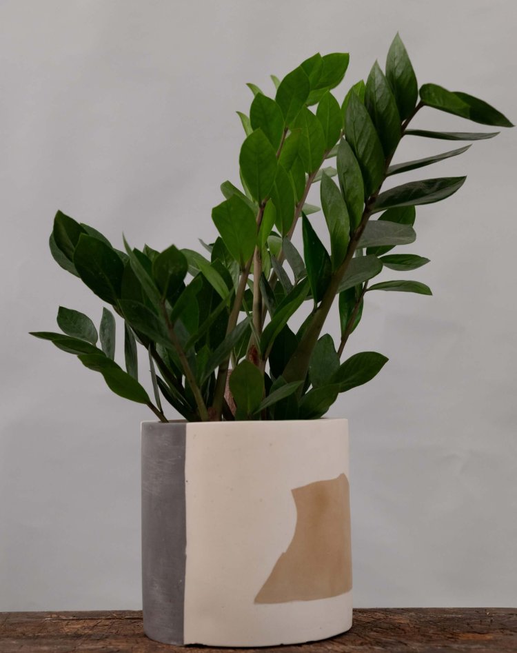 Desert Terrazzo Planter