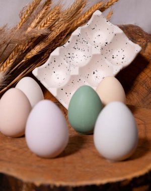 Subtle Splatter Egg Tray